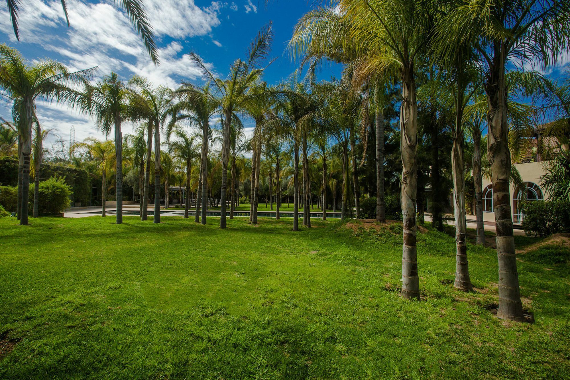 Palais Mirage D'Atlas, Hotel De Luxe & Spa Ouled Jelal Εξωτερικό φωτογραφία